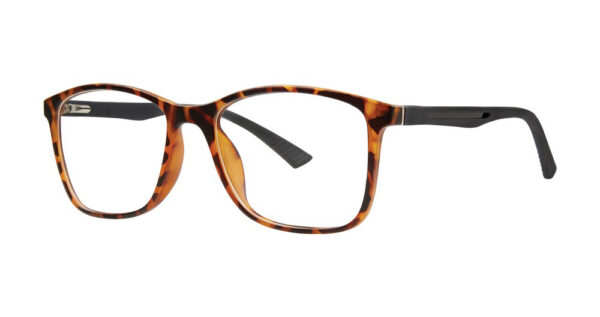 Modern Optical / Modz / Anaheim / Eyeglasses