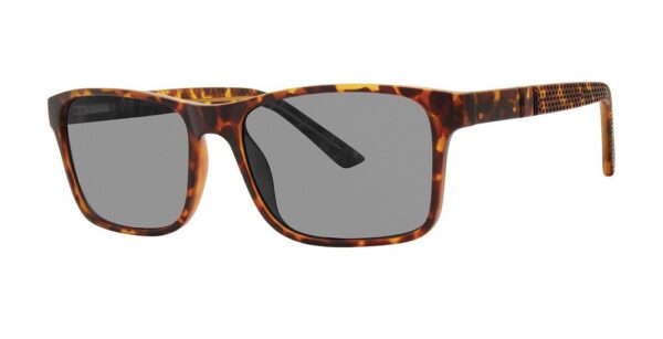 Modern Optical / Modz Sunz / Clifton / Sunglasses