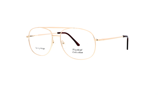 Lido West / Practical Collection / Dylan / Eyeglasses - DYLAN1 GOLD