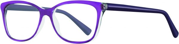 NH Medicaid / EQ313 / Eyeglasses - EQ313