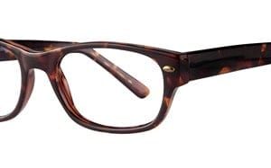 Eight to Eighty / Affordable Designs / Lloyd / Eyeglasses