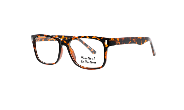 Lido West / Practical Collection / Marie / Eyeglasses - MARIE TORTOISE