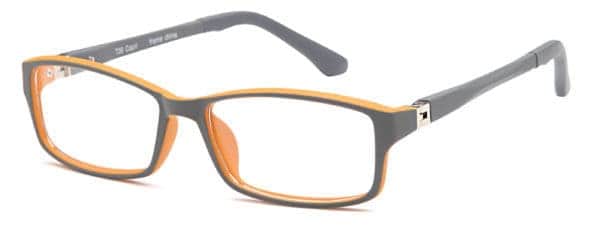 EZO / 30-T / Eyeglasses - T30 GREY