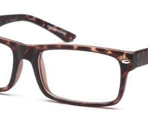 EZO / Wisdom / Eyeglasses
