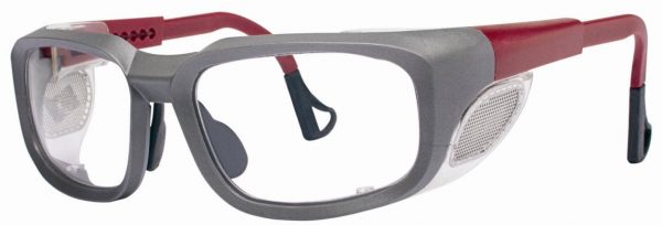 3M Pentax / ZT100 / Safety Glasses - ZT100 Gray e 1